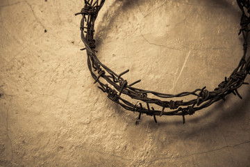This Crown of Thorns.
