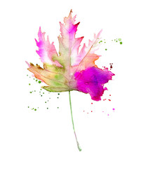 Hand drawn watercolor autumn leaf isolated on white background.