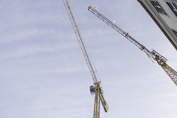 Construction cranes city