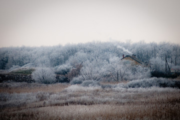 Obraz na płótnie Canvas hut on the edge of a winter forest