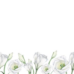 Seamless floral pattern of white flowers. Watercolor painting. Hand drawing. Decorative element suitable for Wallpaper, wrapping paper and backgrounds