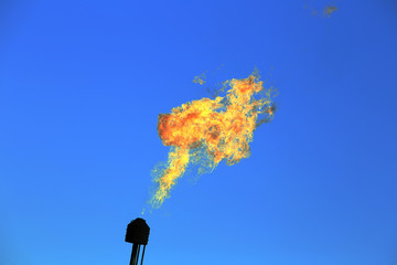 burning torch