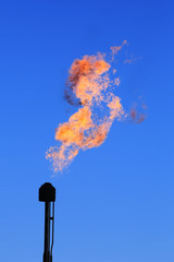 burning torch