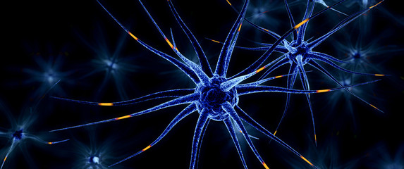 Neuronal cells, 3d illustration