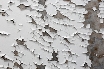 texture of cracked white paint