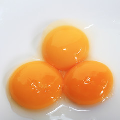 egg yolks