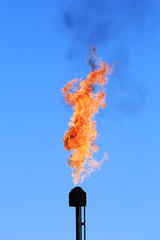 burning torch