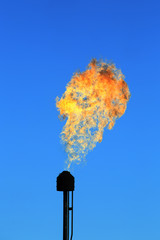 burning torch