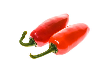 Red ripe jalapeno chili hot pepper from caribbean or mexico