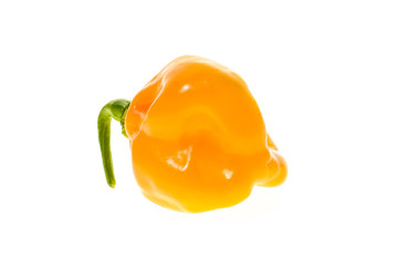 Fresh Yellow orange ripe habanero hot chili pepper