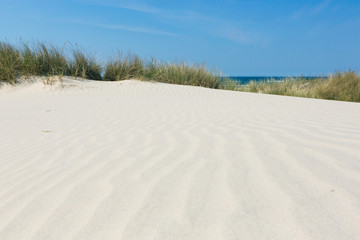 Fototapeta na wymiar Weisser Sand mit Dünengras an der Küste