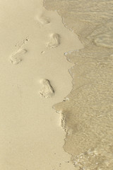 footprints in the sand