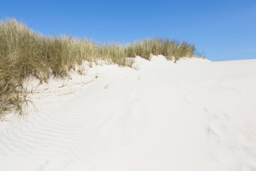 Weisser Sand in den Dünen im Sommer