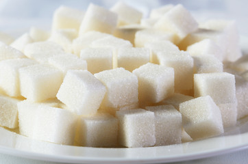 sugar cubes in a plate close-up