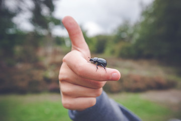 Beetle on a hand giving thumbs up