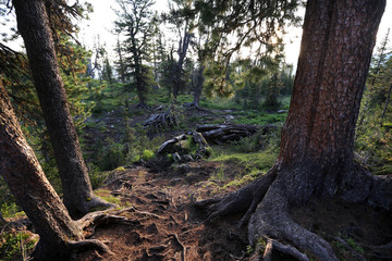 mountain landscape