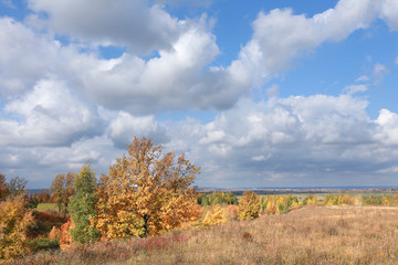 autumn landscape