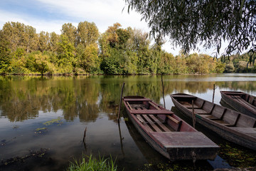 Boat in a river in autumn
