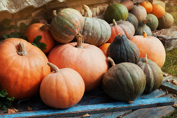 Harvest of organic pumpkins in countryside, vintage style and rustic background. Can be used as halloween theme or autumnal vegetable market.