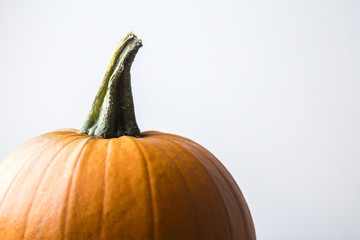 Pumpkin against a plain background