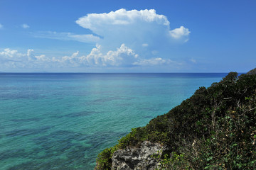 Fototapeta premium 夏の海