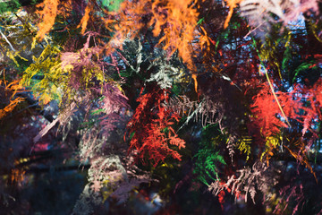 Fototapeta na wymiar Abstract colored plants macro background