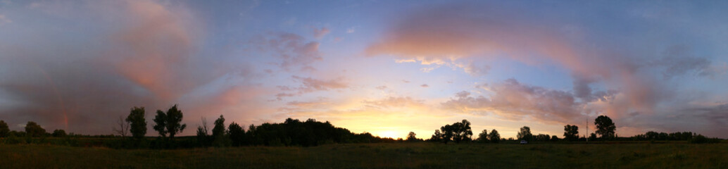 Fototapeta na wymiar sunset over the oak grove