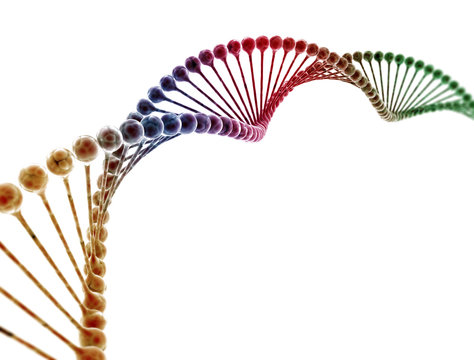DNA multi color isolated on white background