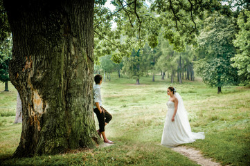 the bride and groom near old wood in summer, beautiful background