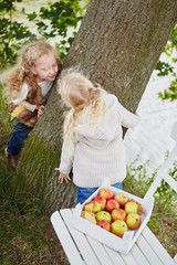 Kinder spielen im Herbst bei Apfelernte