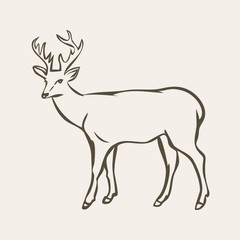 Deer illustration vector
