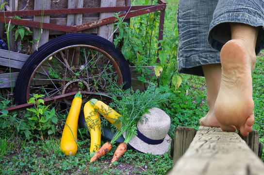 d&eacute;tente &agrave; la campagne - potager