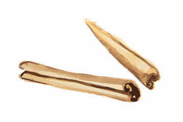 Isolated watercolor cinnamon. Tasty seasoning. Organic herbal vitamin. Ingredient for christmas food and beverage.