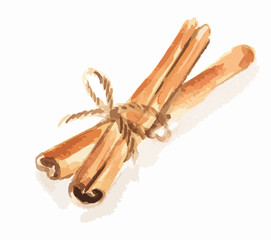 Watercolor bunch of cinnamon. Tasty seasoning. Organic herbal vitamin. Ingredient for christmas food and beverage.