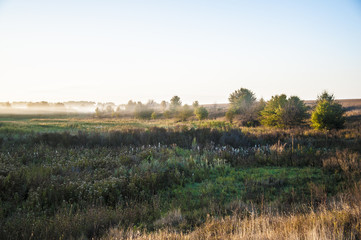 Fototapeta na wymiar early morning rural landscape with fog