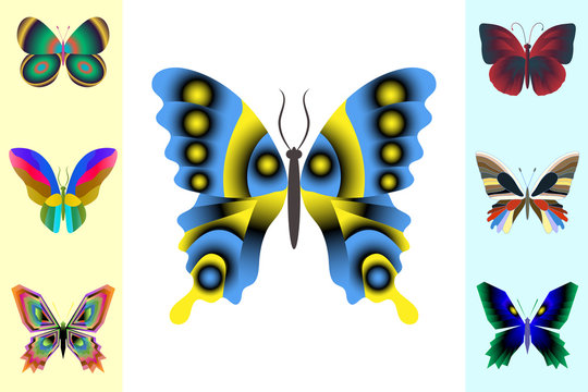Abstract butterfly set. Vector illustration