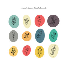 Set of floral design elements. Hand-drawn vector illustration.
