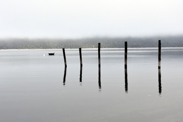 Stakes in water and winter fog. Quite bay in winter time.