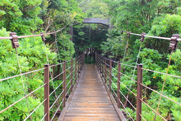 Fototapeta premium Suspension bridge taken in rainy day