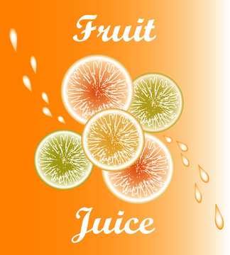 Vector fruit juice. Fruit on orange background. Citrus with drops of juice.