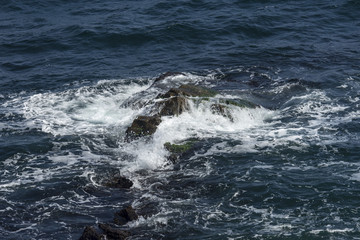 Rocky reef near beach