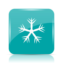 Snowflake icon