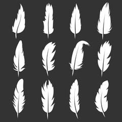 Vector feather vintage pens on black background