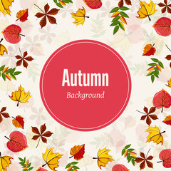 Autumn leaves fall on border vector illustration. Background with hand drawn autumn leaves. Design elements.
