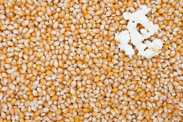 Popcorn Kernels Background