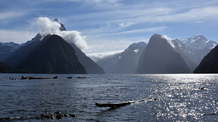 Milford Sound at low tide. Mitre Peak (Fiordland New Zealand). 8th wonder of the world.