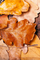 ..Yellow wet autumn leaves over wooden background with empty cop