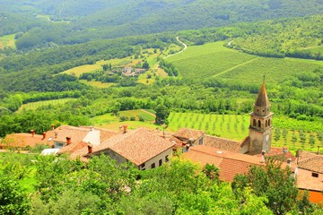 Naklejka premium Istria landscape with vineyards and Motovun house roofs