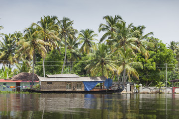 Unidentified indian people in small boat in Kerala backwaters.