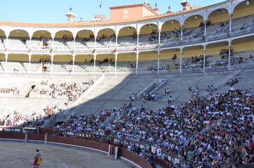 Bull fight Toros